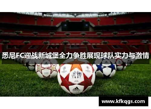 悉尼FC迎战新城堡全力争胜展现球队实力与激情