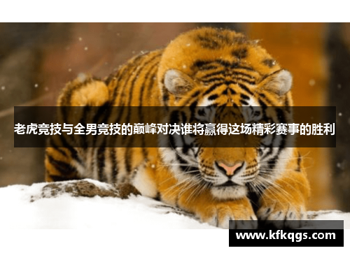 老虎竞技与全男竞技的巅峰对决谁将赢得这场精彩赛事的胜利